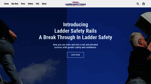 laddersafetyrails.com