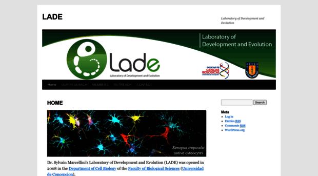 lade.udec.cl