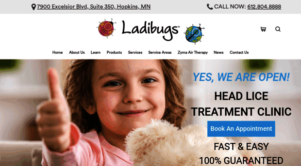 ladibugsinc.com