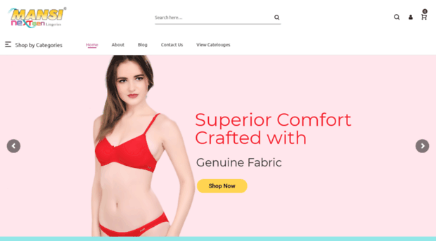 ladiesinnerwear.co.in