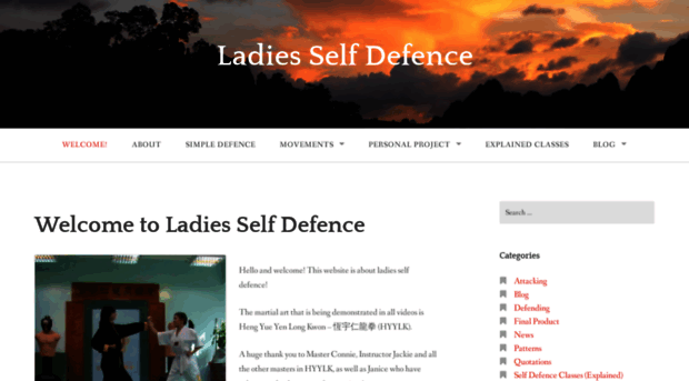 ladiesselfdefence.wordpress.com