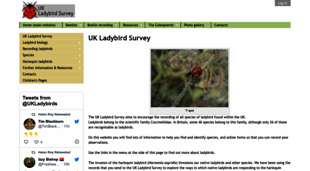 ladybird-survey.org