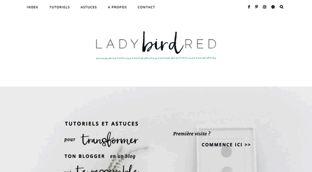 ladybirdr.blogspot.com