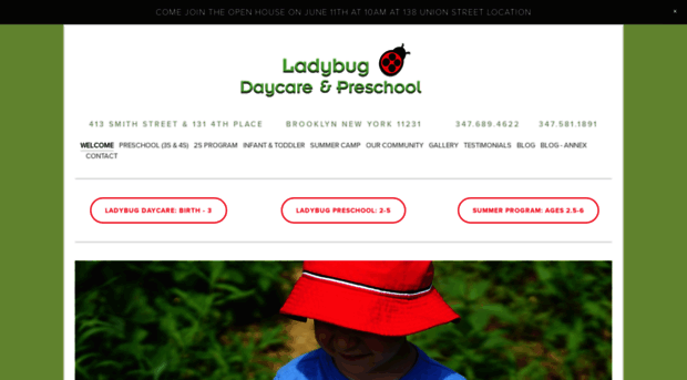 ladybug-preschool.com