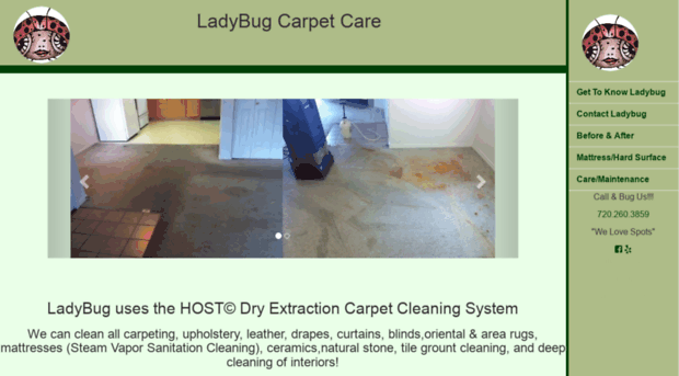 ladybugcarpets.com