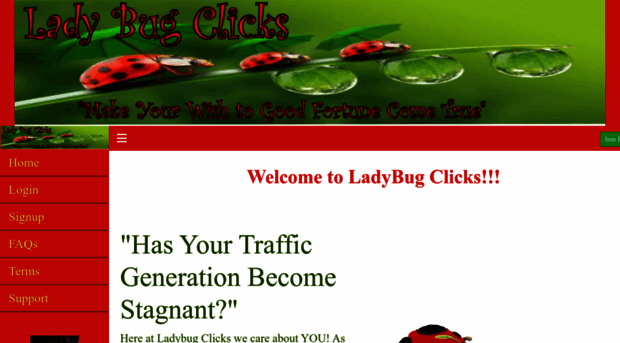 ladybugclicks.com