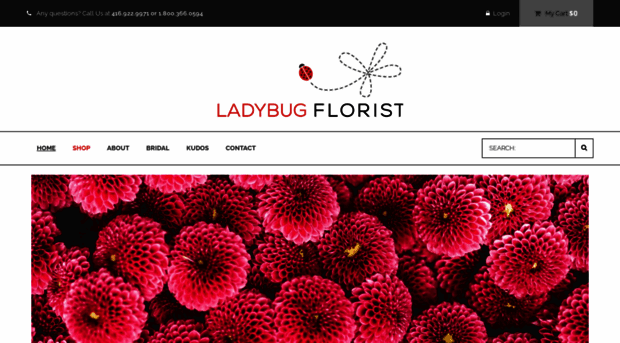 ladybugflorist.com