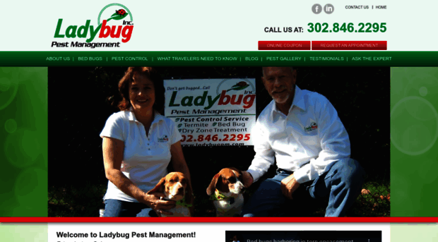 ladybugpm.com