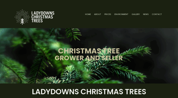 ladydowns.co.uk