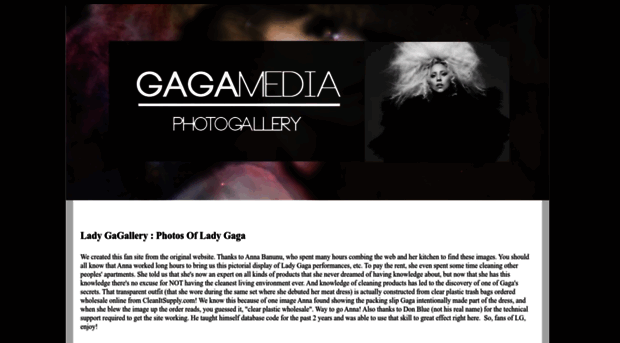 ladygagallery.net