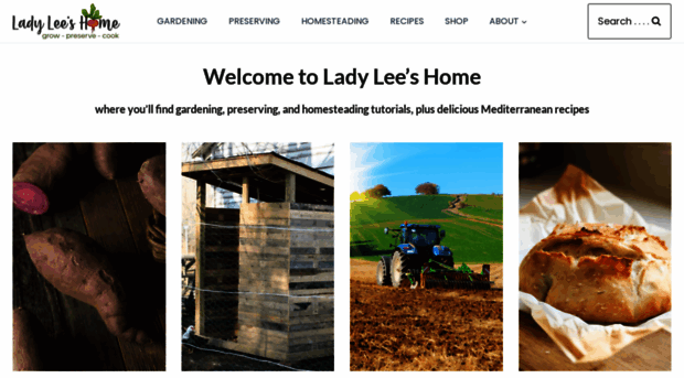 ladyleeshome.com