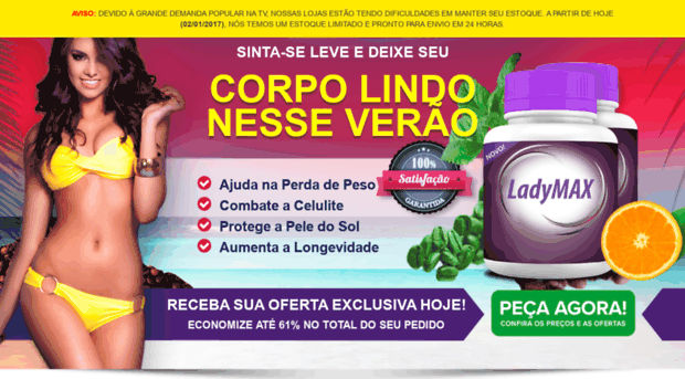 ladymax.com.br