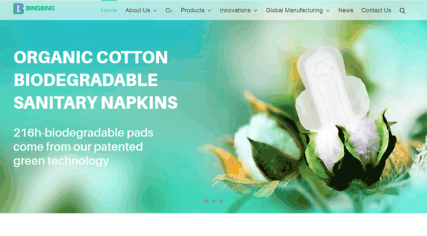 ladynapkins.com