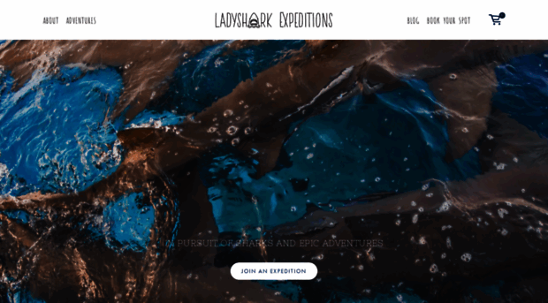 ladysharkexpeditions.com