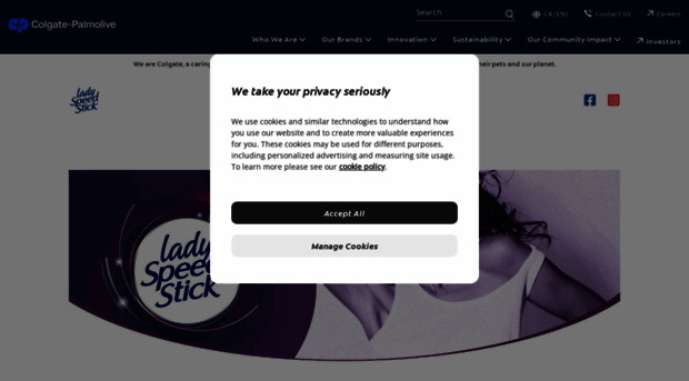 ladyspeedstick.ca