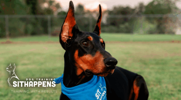 lafayettedogtrainer.com