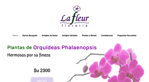 lafleur.com.uy