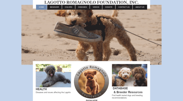 lagottofoundation.org