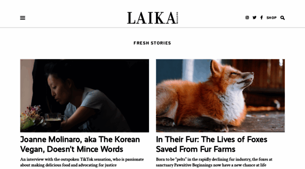 laikamagazine.com