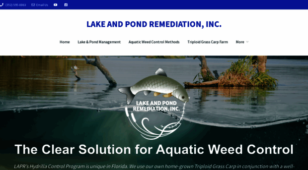 lakeandpondremediation.com