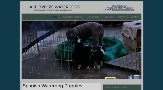 lakebreezewaterdogs.com