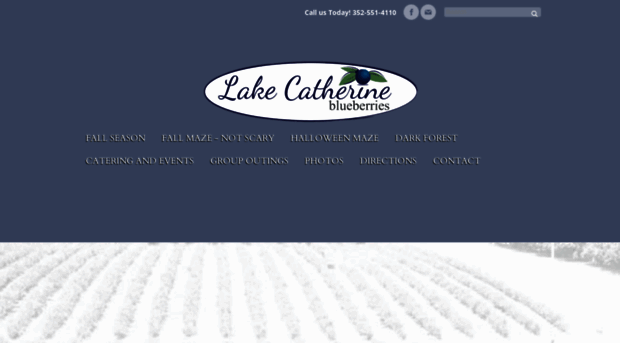 lakecatherineblueberries.com