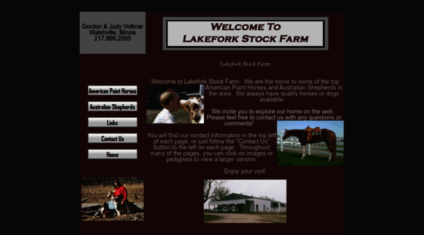 lakeforkstockfarm.com