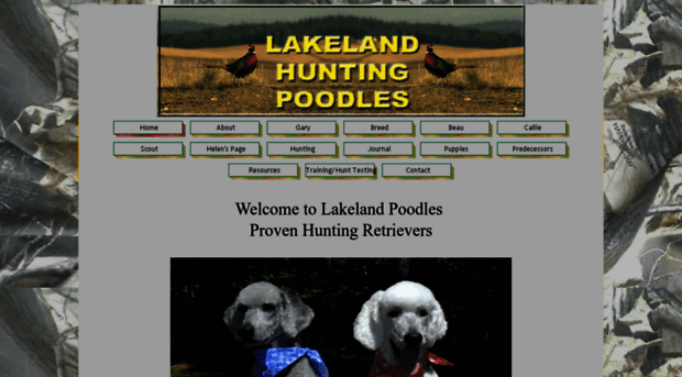 lakelandhuntingpoodles.com