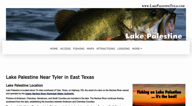 lakepalestinetexas.com