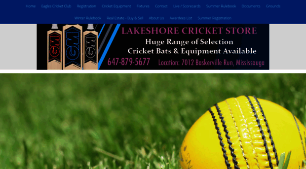 lakeshorecricketleague.com