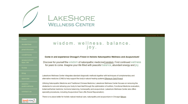 lakeshorewellnesscenter.com