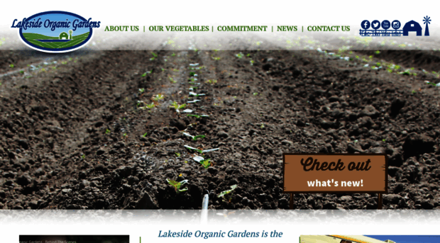 lakesideorganic.com