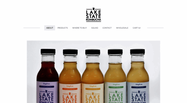 lakestatekombucha.com