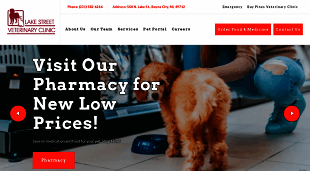 lakestreetvet.net