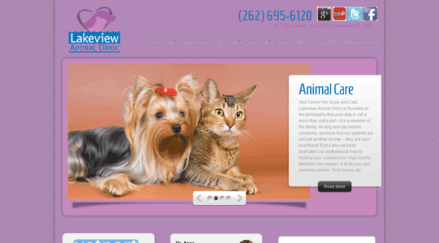 lakeviewanimalclinicwi.com