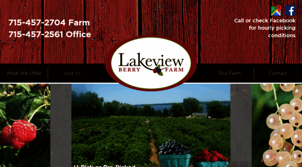 lakeviewberryfarm.com