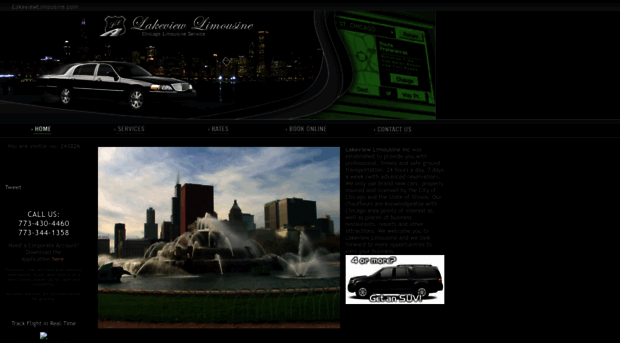 lakeviewlimousine.com