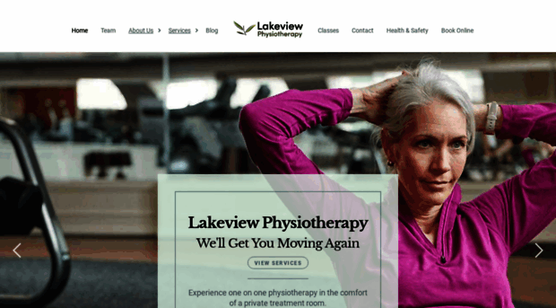 lakeviewphysio.ca