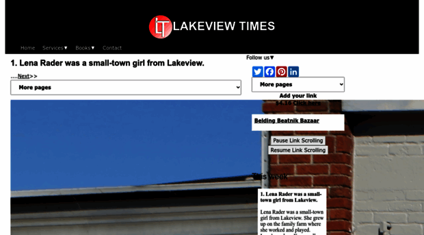 lakeviewtimes.com