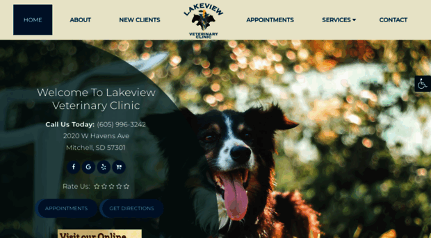 lakeviewveterinary.com