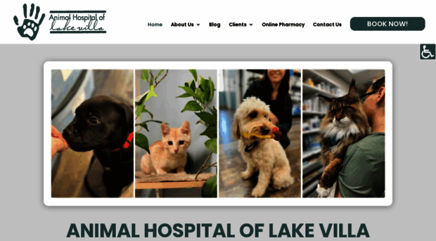 lakevillavet.com