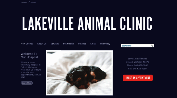 lakevilleanimalclinic.com