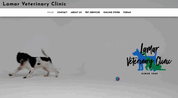 lamarvetclinic.com
