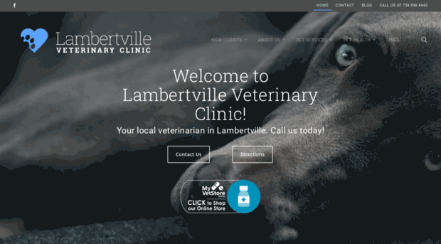 lambertvillevetclinic.com