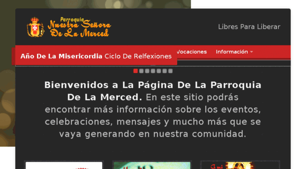 lamercedveracruz.org
