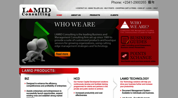 lamidconsulting.com