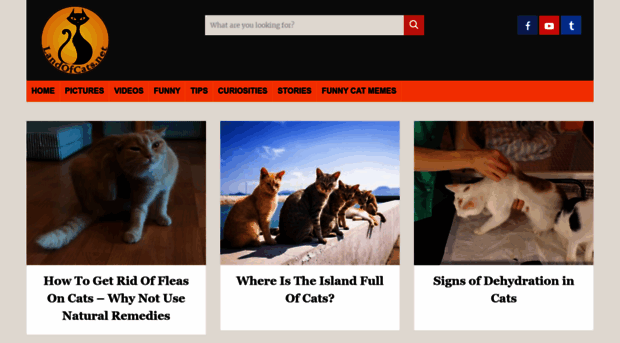 landofcats.net