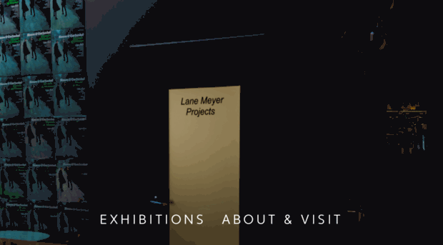 lanemeyerprojects.com