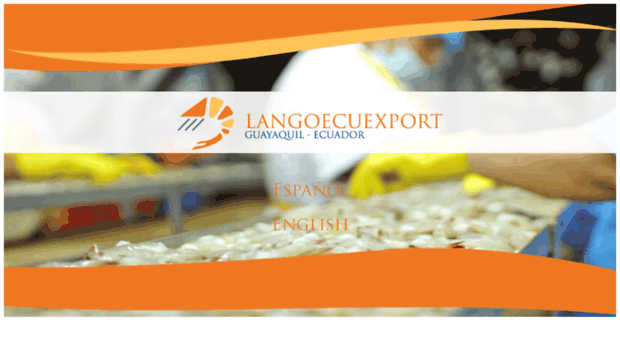 langoecuexport.com.ec