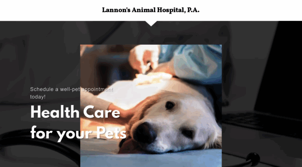 lannonsanimalhospital.com